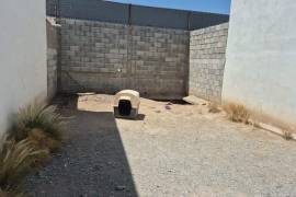 El perro permanece a la intemperie, protegido únicamente con plásticos y sin acceso visible a agua potable.