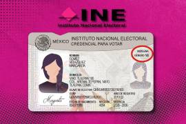 La nueva credencial del INE incorpora campo de género, autoidentificación indígena o afromexicana, códigos QR reforzados y accesibilidad.