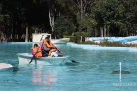 En Saltillo se esperan temperaturas que rondarán los 23 grados Celsius durante el día este fin de semana.