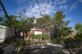 Un árbol de gran tamaño permanece sobre el techo de dos aulas después de caer durante el fin de semana, provocando daños materiales y aumentando la preocupación de la comunidad educativa por la seguridad de los estudiantes.
