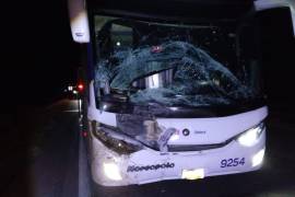 El autobús de doble piso sufrió daños en el costado frontal tras impactar contra el burro que se atravesó en la carretera.