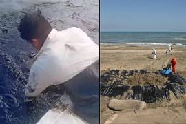 Reportan presencia de contaminantes en el agua y playas por supuesta fuga de Pemex