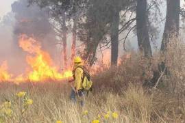 La superficie afectada en México por incendios forestales activos va en ascenso, pues ayer sumó 101 mil 593 hectáreas, 8 mil más que el día previo, con 198 conflagraciones en 24 estados