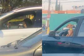 En las imágenes se muestra como los perros se encuentran en la zona del piloto, acompañando al conductor.