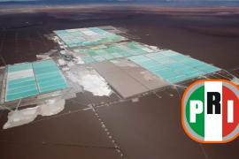 Grupo parlamentario del PRI advierte de la ausencia de operaciones en Litio MX