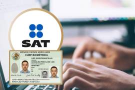 Con la llegada de la Declaración Anual 2026, miles de contribuyentes se preguntan si es obligatorio contar con la CURP biométrica para cumplir con el trámite ante el SAT.