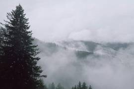 El SMN alertó por vientos intensos, oleaje elevado y heladas en distintas regiones de México debido a la interacción de varios sistemas atmosféricos.