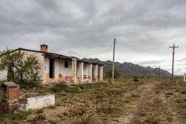 Dignidad Animal proyecta un santuario y villa recreativa en Ramos Arizpe con capacidad para 350 perros, áreas de rehabilitación y espacios para fomentar la adopción responsable.