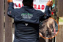 La Procuraduría Federal de Protección al Ambiente (Profepa) clausuró de manera temporal y total el Parque Zoológico “La Pastora”, ubicado en Guadalupe, Nuevo León