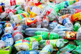 Greenpeace advierte de “retrocesos” en la prohibición de plásticos en México