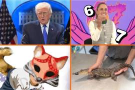 Trump anuncia arancel global de 10% adicional a los existentes, tras fallo de la Corte: Según el mandatario, los países que “han estado estafando” a Estados Unidos “durante años están eufóricos” tras el dictamen.