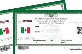 La duplicidad de la CURP puede causar problemas en trámites oficiales. Te explicamos cómo identificarla y corregirla ante el RENAPO en 2025