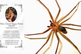 El caso de María Fernanda Vázquez dio la vuelta a las redes sociales; en una publicación afirmaban que la joven de 30 años de edad había perdido la vida por una presunta mordedura de araña violinista.