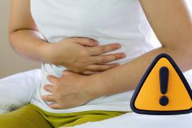 La Secretaría de Salud de México emitió un aviso preventivo de viaje para las personas que planeen desplazarse a Estados Unidos ante un brote multiestatal de ciclosporiasis.