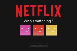 Netflix cuenta con 222 millones de suscriptores repartidos alrededor del mundo.