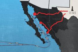 ONG insiste en alertar por terminal de gas en el Golfo de California: afectaría a ballenas y lobos marinos