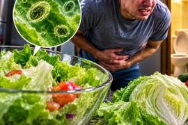 El reciente brote de ciclosporiasis ha encendido las alertas sanitarias por el aumento de casos relacionados con el consumo de frutas y verduras contaminadas.