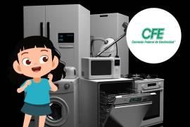 La Comisión Federal de Electricidad (CFE) busca impulsar la eficiencia energética para mejorar los hogares mexicanos, a través del programa Ahorro Sistemático Integral (ASI).