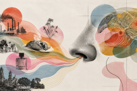 La ciudad también entra por la nariz: trabajo, comida, perfume, humo y memoria se mezclan en una cartografía invisible donde cada olor puede convertirse en rastro, recuerdo o prejuicio.