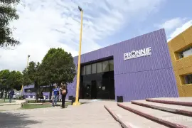 La Procuraduría para Niñas, Niños y la Familia (Pronnif) participa activamente en la investigación del caso.
