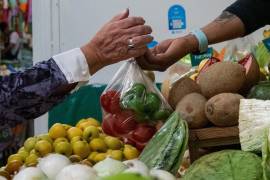 La canasta básica se encareció en marzo de 2026. El jitomate lideró el alza, mientras los hogares enfrentan mayores costos en alimentos y servicios.