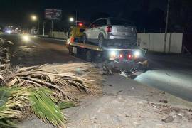 La conductora de una Ford Edge derribó una palmera sobre el bulevar Valdés Sánchez tras perder el control de la unidad.