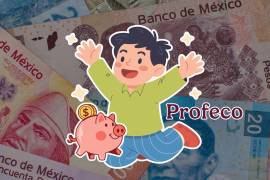 La Procuraduría Federal del Consumidor (Profeco) reveló cómo ahorrar dinero con ayuda de Chat GPT y Gemini.