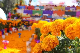 El Día de Muertos 2026 se acerca, y con él surge una de las preguntas más frecuentes: ¿cuándo llegan los difuntos a las ofrendas?