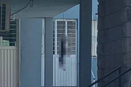 Transeúntes captaron imágenes del animal sin vida y alertaron a las autoridades y grupos de protección animal.