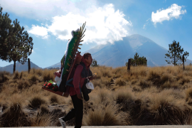 En México, el 12 de diciembre es una fecha significativa debido a la celebración de la Virgen de Guadalupe, una tradición profundamente arraigada en la cultura nacional.