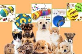 Descubre los mejores juguetes para divertir a tus mascotas.