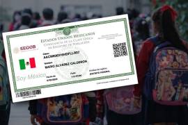 La CURP tradicional certificada es necesaria para tramitar todo tipo de documentos oficiales en México. Sin ella no podrás realizar ningún trámite ante las dependencias de la Administración Pública como en la SEP.