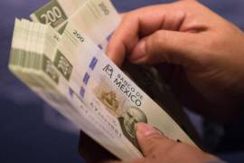 Los ahorros fueron en los rubros gastos de operación, servicios personales e inversión pública, dijo la ASF