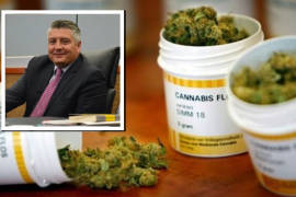 ¡Agárrate Fox! Político de Coahuila también producirá cannabis medicinal... que el ayudó a legislar