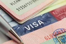 El vocero subrayó que no es necesario que exista una condena penal para que la visa sea revocada.