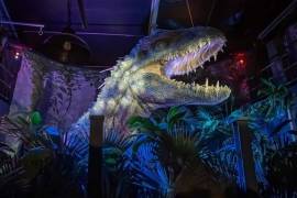 Reportan robo de dinosaurio de exposición de Jurassic World, ubicada en la alcaldía Coyoacán, en la Ciudad de México. La pieza estaría valuada en 2 mdp
