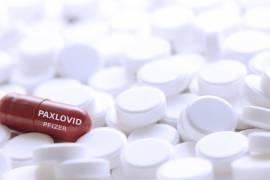 Aprueba Cofepris la pastilla de Paxlovid contra el coronavirus (COVID-19)