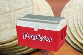 La Procuraduría Federal del Consumidor señaló que solo vigila precios e información comercial en tortillerías, no condiciones sanitarias en la venta de tortillas.