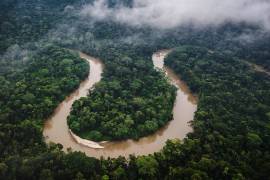 La Amazonia es el principal pulmón del mundo y es vital para combatir el cambio climático.