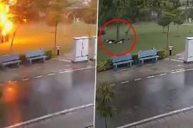 El impactante momento en que un rayo fulmina a 4 personas bajo un árbol (video)
