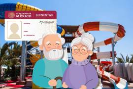 Los adultos mayores pueden ser beneficiarios de ciertos descuentos a través de la tarjeta del Instituto Nacional de las Personas Adultas Mayores (INAPAM).