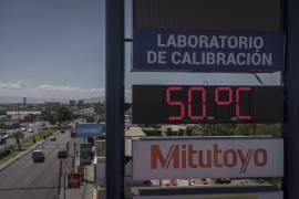 Las muertes se dispararon en las últimas semanas debido a altas temperaturas combinadas con una elevada humedad.