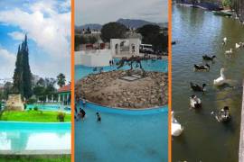 Y para ti, ¿cuál lago es más bonito: el lago de la Alameda de Saltillo, el nuevo lago de la Alameda de Ramos Arizpe, o el Lago de la Ciudad Deportiva de la capital de Coahuila?