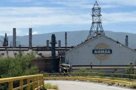 El senador Gabriel Elizondo Pérez anunció que la próxima semana presentará un punto de acuerdo para exigir claridad en el proceso de venta de la siderúrgica.