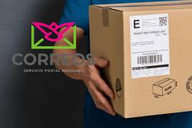 Durante la tarde del 27 de agosto se dio a conocer un comunicado por parte de la Secretaría de Relaciones Exteriores (SRE) y Correos de México, en el que anuncian la suspensión temporal del servicio hacia Estados Unidos.