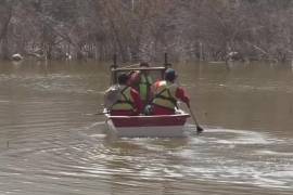 El acceso al cuerpo de agua permanece restringido mientras continúa el operativo de búsqueda y captura de los reptiles.