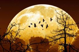 El lunes una “superluna” iluminará la bóveda celeste