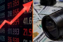 El INPP es un indicador económico que mide la evolución de los precios de una canasta fija de bienes y servicios representativa de la producción nacional.