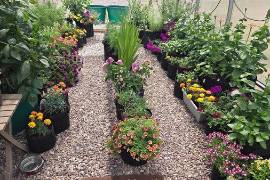 La capacitación está dirigida principalmente a mujeres interesadas en la autonomía alimentaria y el emprendimiento verde.