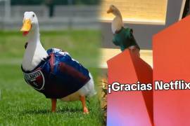 De caminar en el Centro Histórico a conquistar el entretenimiento y el fútbol mexicano, la mascota más querida del momento se convierte en una marca cotizada